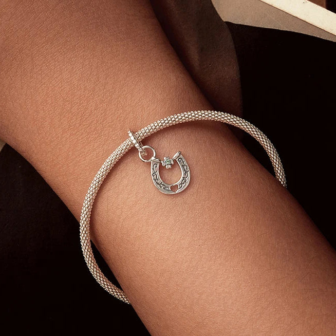 Berloque Pingente Ferradura Trevo Quatro Folhas - Prata 925